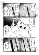 幽霊だって猫が好き　子猫と無職と幽霊の同居ホラーコメディ「事故物件で猫を飼う」