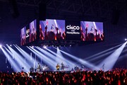 CHiCO with HoneyWorks