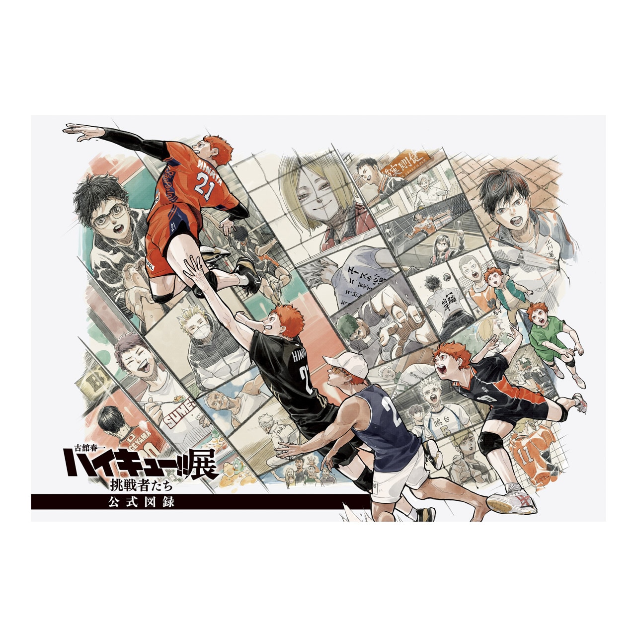 サイン入りプレイヤーズカードセット [画像ギャラリー 8/16