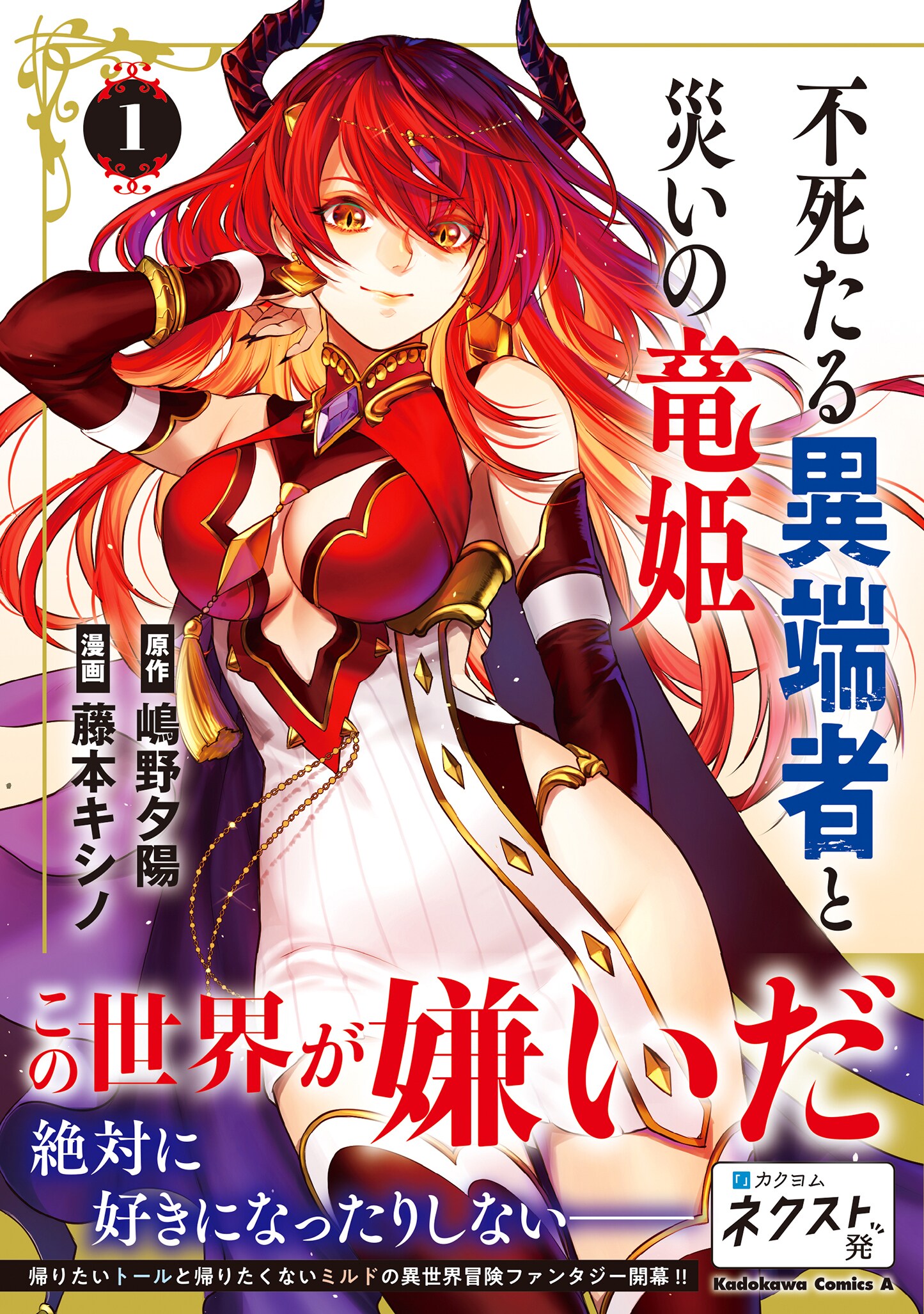 帰りたい青年と帰りたくない人外姫の冒険譚「不死たる異端者と災いの竜姫」1巻