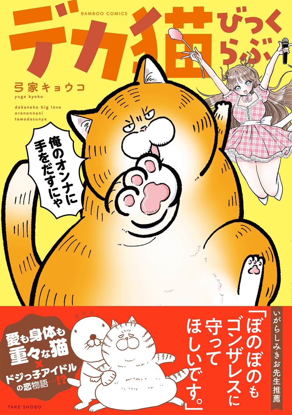 普通の猫の2倍の大きさ！飼い主のアイドルを自分の女と思い込んでいるデカ猫コメディ