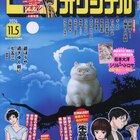 神を信じない神職とオカルトマニアが怪異事件に挑むミステリー「朱宮茜子の祈り」