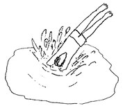 浅野忠信作のLINEスタンプ「『日常』」。