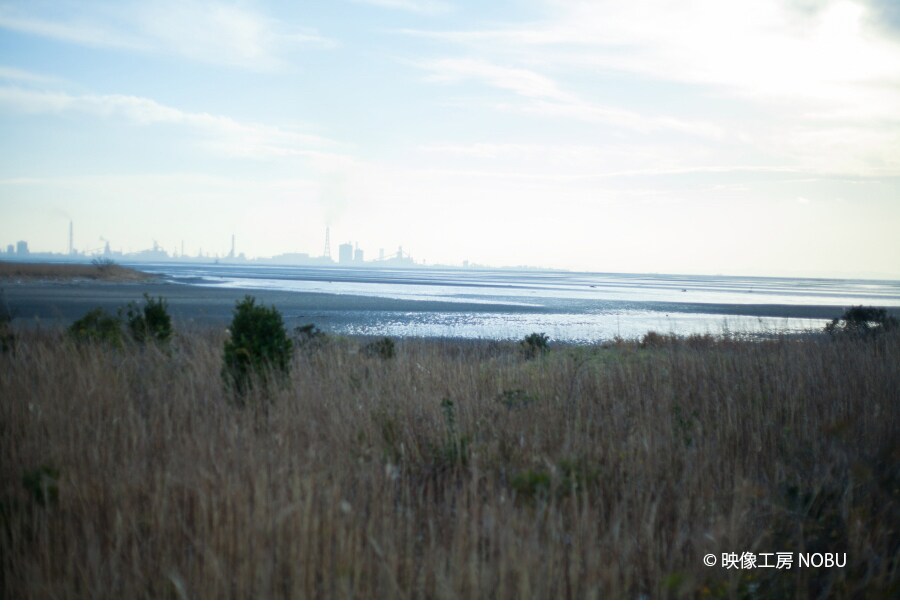 主演俳優を募集中！内田伸輝監督が新作「ぼくらの亡命（仮題）」を撮影予定