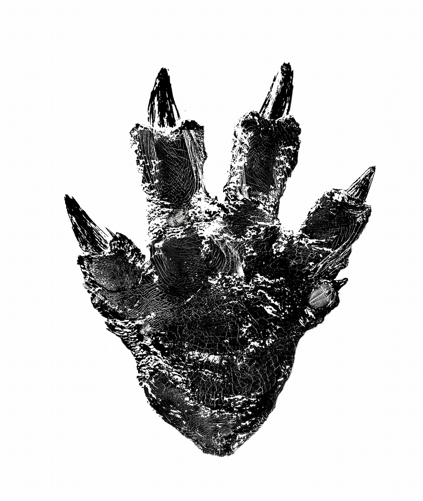 「シン・ゴジラ」に登場するゴジラの足型。
