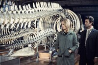 「やさしい女」のワンシーン。