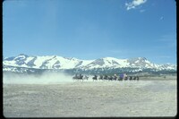 「天国の門」のワンシーン。HEAVEN'S GATE (c)2013 Metro-Goldwyn-Mayer Studios Inc. All Rights Reserved.