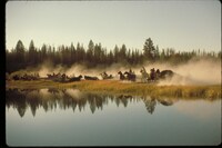 「天国の門」のワンシーン。HEAVEN'S GATE (c)2013 Metro-Goldwyn-Mayer Studios Inc. All Rights Reserved.