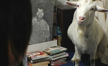 森岡龍監督作品「つつましき生活」の場面写真。