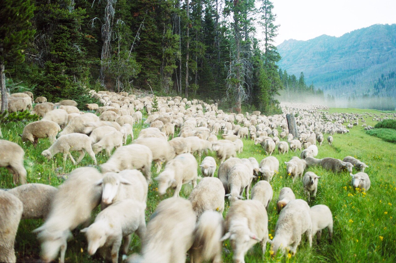 「リヴァイアサン」ほかハーバード大学の作品特集でまだ見ぬ世界へ旅に出よう