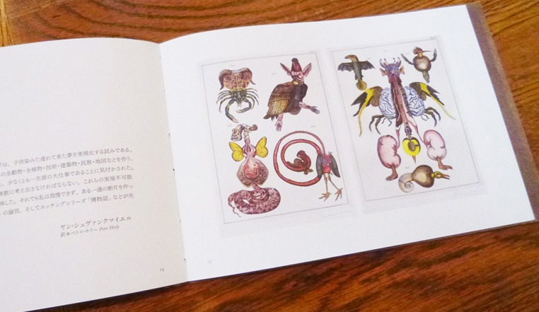 「人形劇・虫・博物誌」より (c)2015 Jan Švankmajer / Atelier Peyotl Inc. / ステュディオ・パラボリカ
