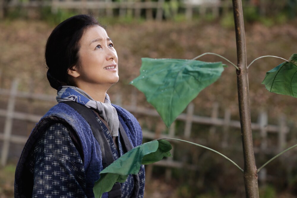 鈴木京香が7人の子供を持つ戦時下の母に、親子の情愛を描く「おかあさんの木」