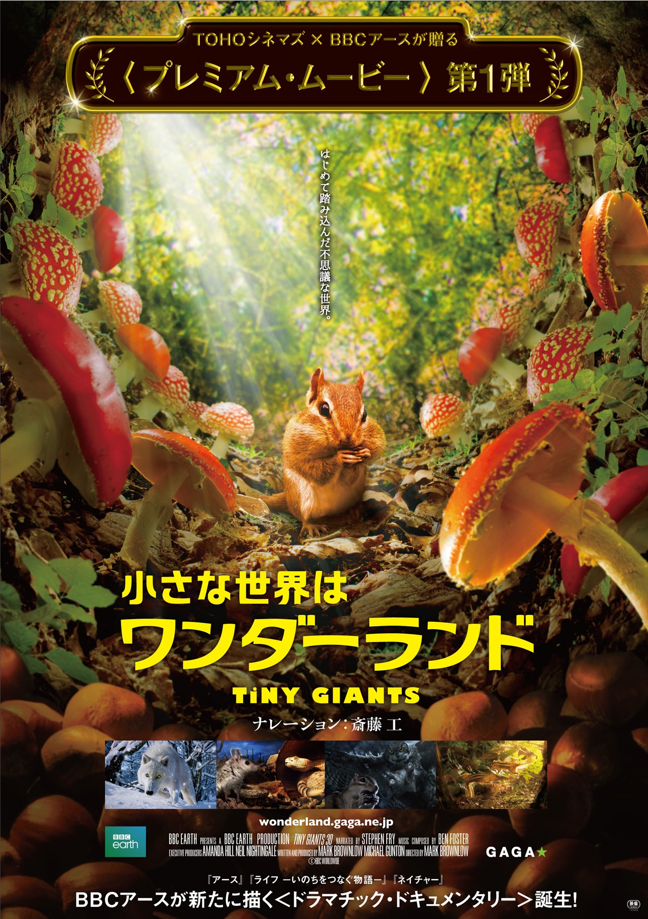 「小さな世界はワンダーランド」ポスタービジュアル (c)BBC 2014
