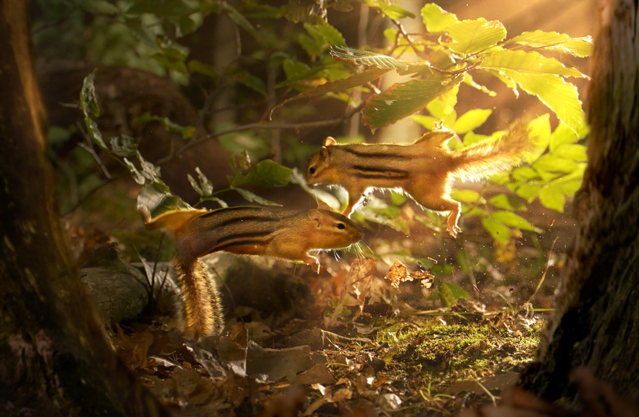「小さな世界はワンダーランド」場面写真 (c)BBC 2014