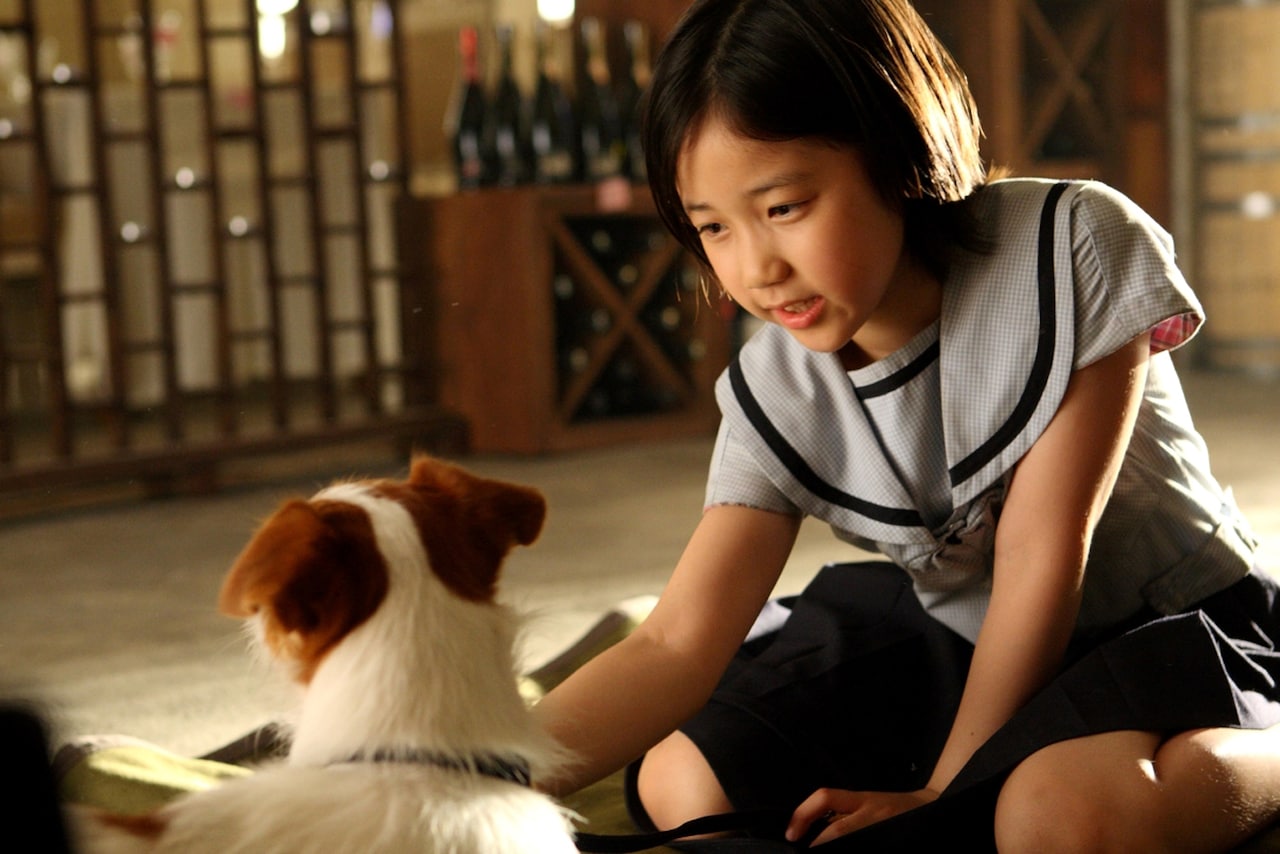 犬どろぼう完全計画 | あらすじ・内容・スタッフ・キャスト