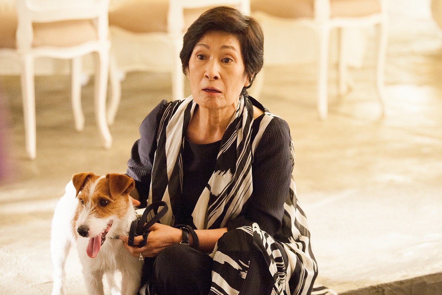 「犬どろぼう完全計画」 (c)2014 Samgeori Pictures Co, Ltd. ALL RIGHTS RESERVED