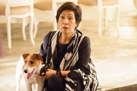 「犬どろぼう完全計画」 (c)2014 Samgeori Pictures Co, Ltd. ALL RIGHTS RESERVED