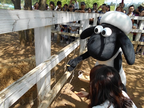 ひつじにえさをやるショーン。