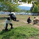 ひつじのショーンが秩父・羊山公園ふれあい牧場を訪問、日英ひつじ交流に前進
