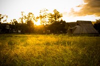 上映会場になる登呂遺跡。(c)静岡×カンヌ×映画プロジェクト実行委員会