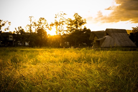 上映会場になる登呂遺跡。(c)静岡×カンヌ×映画プロジェクト実行委員会