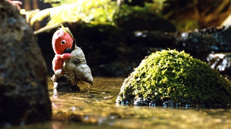 「クーキー」 (c)2010 Biograf Jan Svêráｋ, Phoenix Film investments, Ceská televize a RWE.