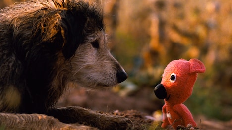 「クーキー」 (c)2010 Biograf Jan Svêráｋ, Phoenix Film investments, Ceská televize a RWE.