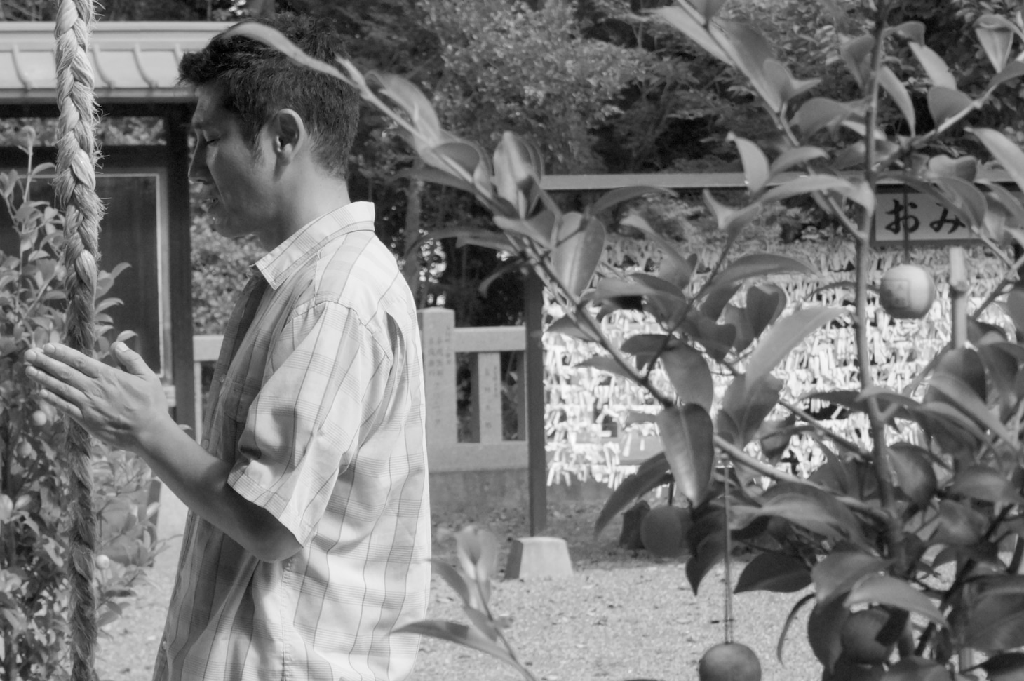 「お盆の弟」 (c)2015映画「お盆の弟」製作委員会