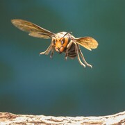 「アリのままでいたい」 (c)2015「アリのままでいたい」製作委員会