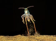 「アリのままでいたい」 (c)2015「アリのままでいたい」製作委員会