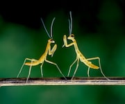 「アリのままでいたい」 (c)2015「アリのままでいたい」製作委員会