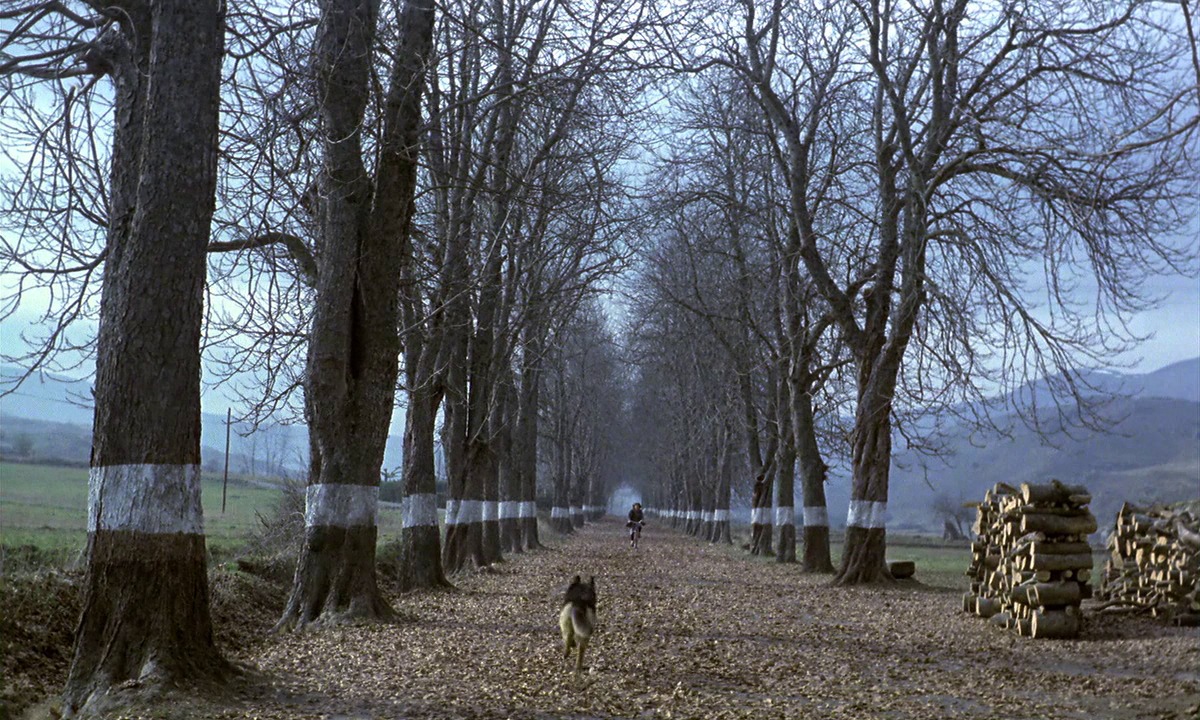 「エル・スール」 (c)2005 Video Mercury Films S.A.
