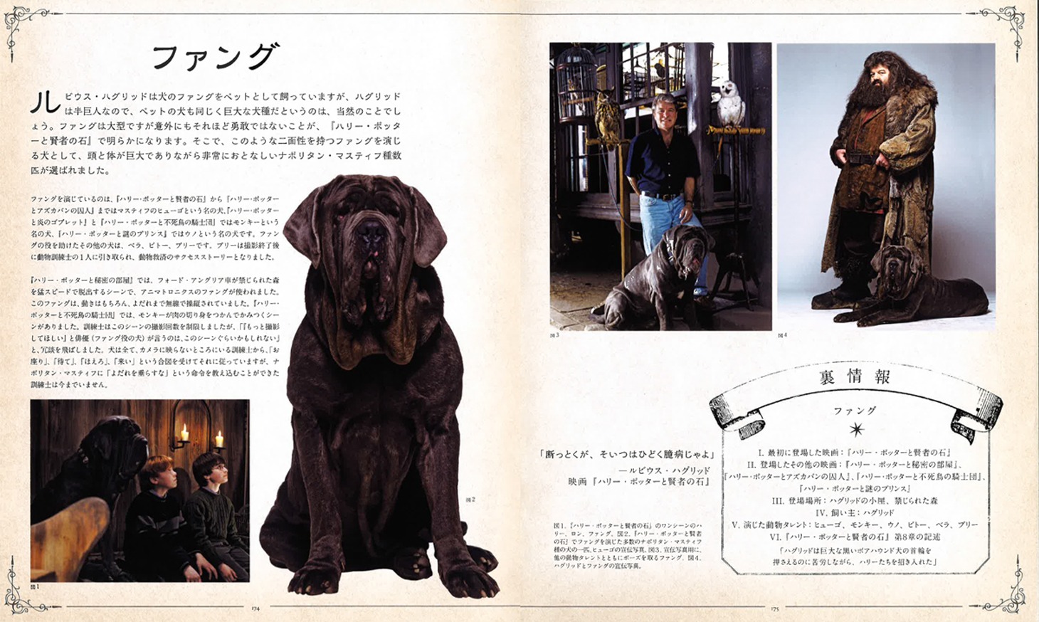 「ハリー・ポッター魔法生物大図鑑」 ジョディ・レベンソン（著）、宮川未葉（訳）静山社