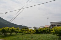 周辺には豊橋ののどかな風景が広がる。