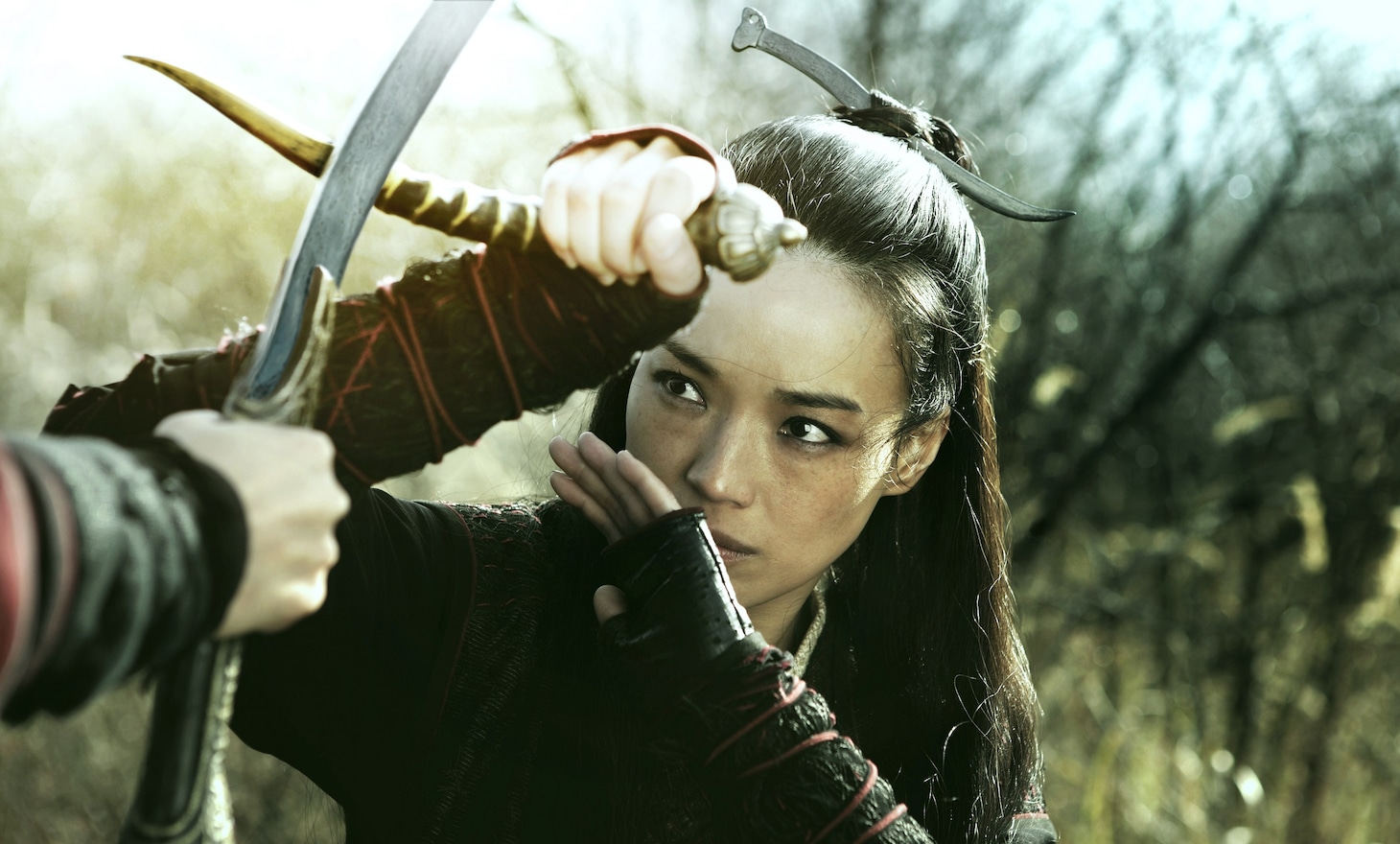 「黒衣の刺客」 (c)2015光點影業股份有限公司　銀都機構有限公司　中影國際股份有限公司