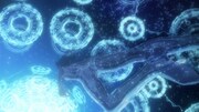 「攻殻機動隊 新劇場版」場面写真 (c)士郎正宗・Production I.G／講談社・「攻殻機動隊 新劇場版」製作委員会
