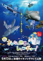 「さかなクン研究所 さかなの世界へレッツギョー！ 飛ぶ！闘う！踊る！編」ポスタービジュアル (c)さかなクン研究所PJ2015
