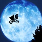 「したコメ」応援企画で全7回の無料上映会、「E.T.」野外上映も