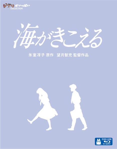 「海がきこえる」 (c)1993 氷室冴子・GN