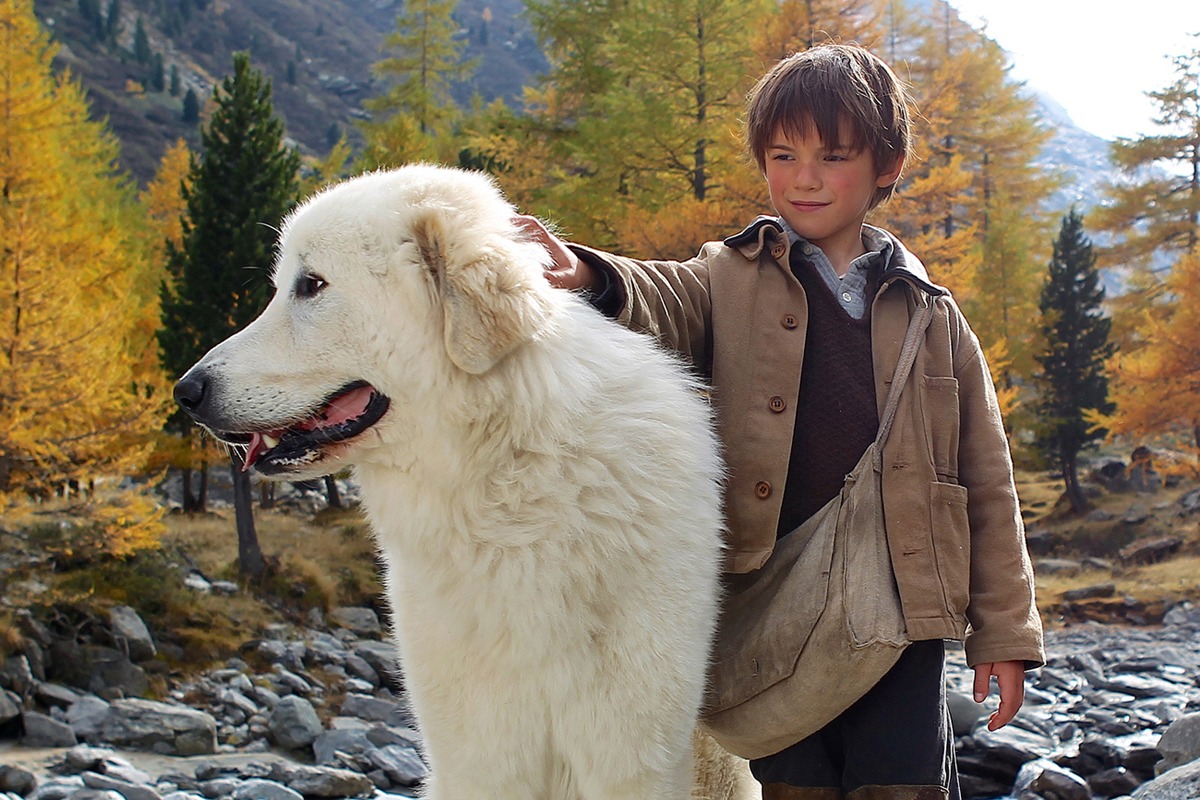 「ベル＆セバスチャン」 (c)2013 RADAR FILMS EPITHETE FILMS GAUMONT M6 FILMS ROHNE-ALPES CINEMA