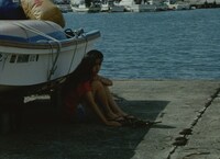 「猿たちの舟」