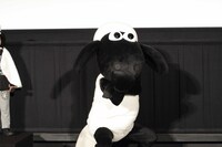 本作公開を前に、意気込みをポーズで表すひつじのショーン。