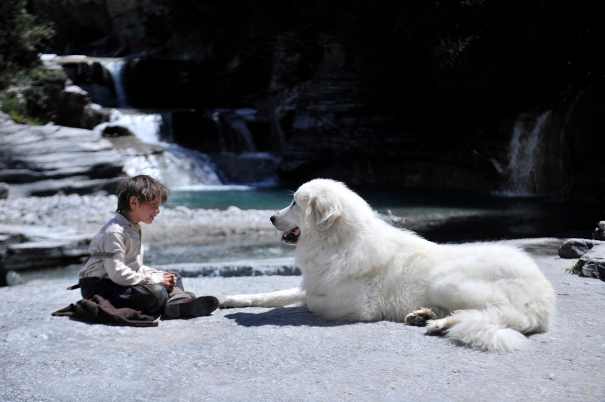 「ベル＆セバスチャン」 (c)2013 RADAR FILMS EPITHETE FILMS GAUMONT M6 FILMS ROHNE-ALPES CINEMA