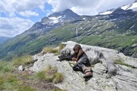 「ベル＆セバスチャン」 (c)2013 RADAR FILMS EPITHETE FILMS GAUMONT M6 FILMS ROHNE-ALPES CINEMA