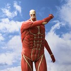 貯蓄してやる!「進撃の巨人」超大型巨人の貯金箱、予約販売がスタート
