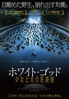 「ホワイト・ゴッド 少女と犬の狂詩曲」ポスタービジュアル (c)2014 Proton Cinema, Pola Pandora, Chimney