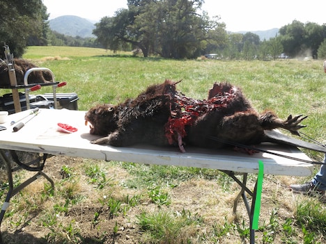 「ゾンビーバー」メイキング (c)2014 ZOMBIEAVERS ,LLC.All Rights Reserved.