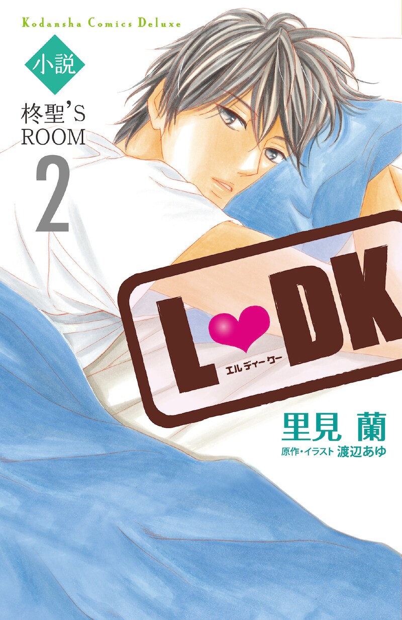 「小説L▼DK 柊聖'S ROOM」2巻