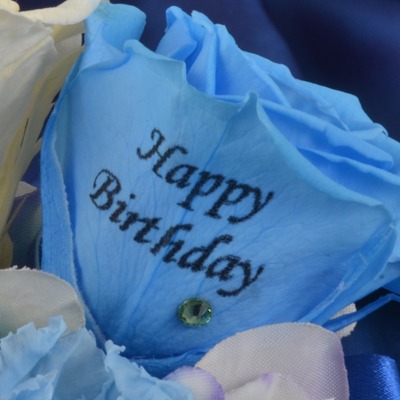 弱虫ペダルグッズ プレミアムライン オリジナルBirthdayフォトローズ [東堂尽八]