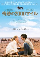 「奇跡の2000マイル」第2弾ポスタービジュアル (c)2013 SEE-SAW (TRACKS) HOLDINGS PTY LIMITED, A.P. FACILITIES PTY LIMITED, SCREEN AUSTRALIA, SOUTH AUSTRALIAN FILM CORPORATION, SCREEN NSW AND ADELAIDE FILM FESTIVAL